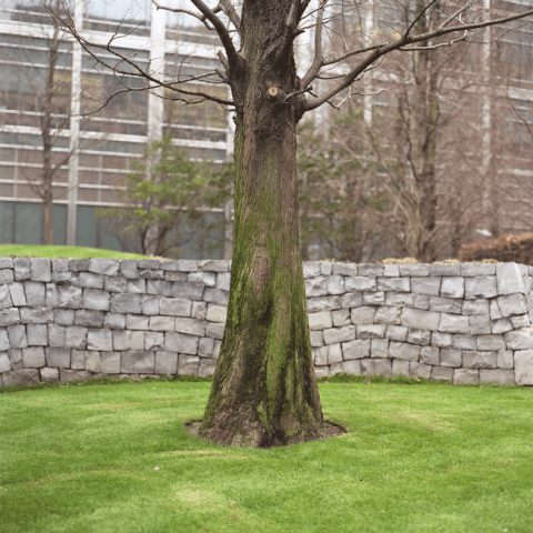 JP Morgan (formerly Lehman Brothers), Canary Wharf, London, Feb 2013 From THE MARKET, a project by Mark Curran