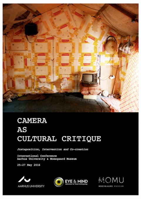 CameraasCulturalCritique